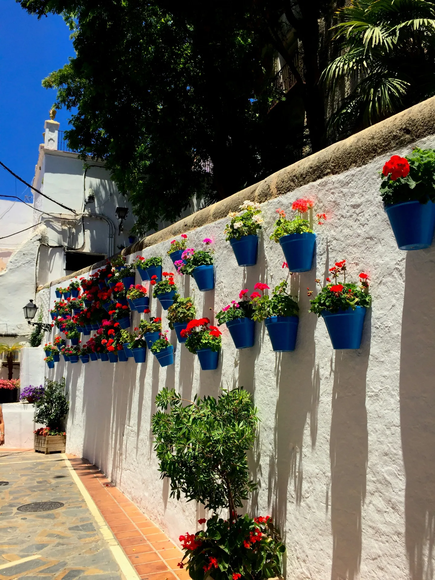 Colourful flowering pots arranged along a garden wall