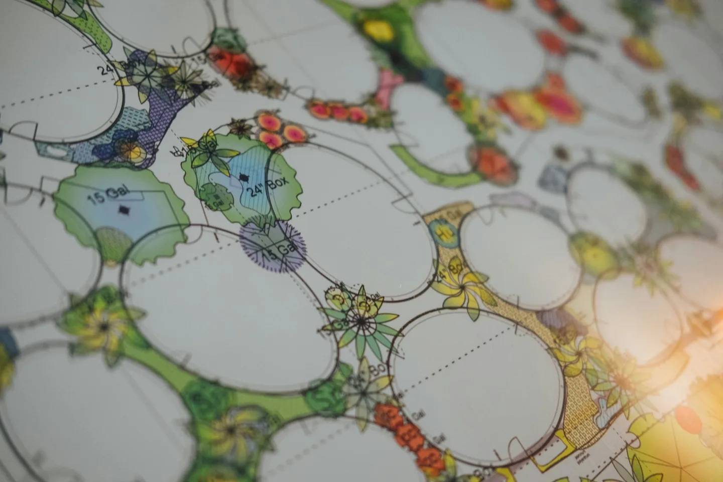 Hand-drawn garden plan with planting areas and paths