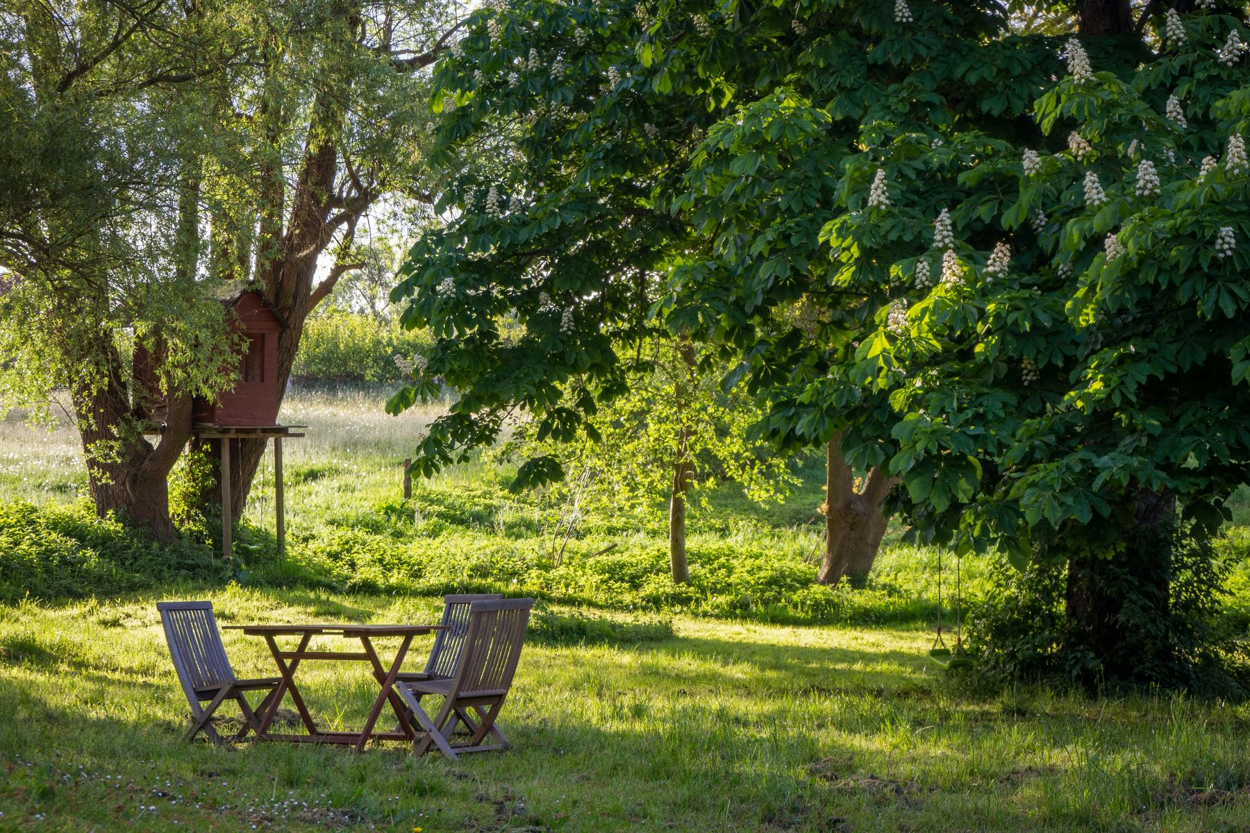 A country garden in evening light with mature trees and a treehouse