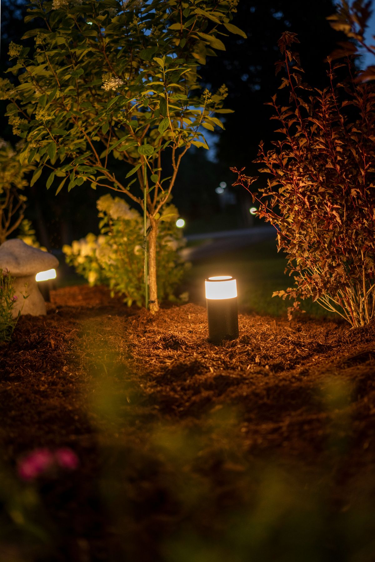 Warm bollard lighting glowing among shrubs and mulched beds at dusk