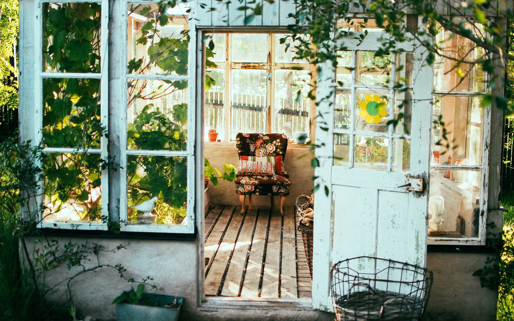 A vintage garden room with an armchair, sunlight and climbing plants